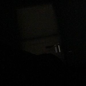 Meet your Posher, Tyson